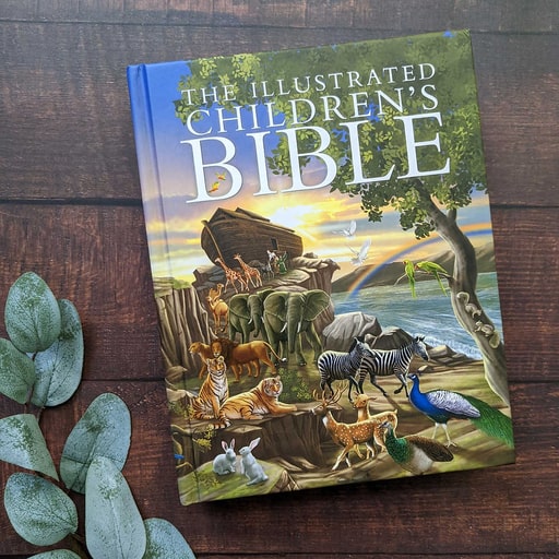 Children's bible - Special Illustrated version