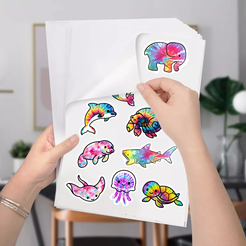 Printable vinyl and inkjet printer is the best colab for printing stickers