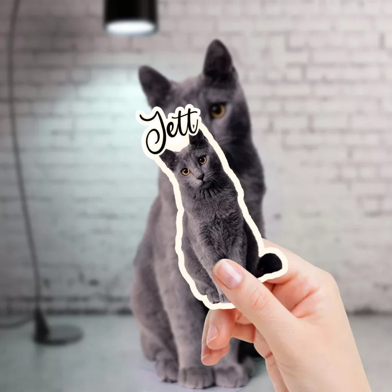 Pet Photo Stickers with Custom Name 2