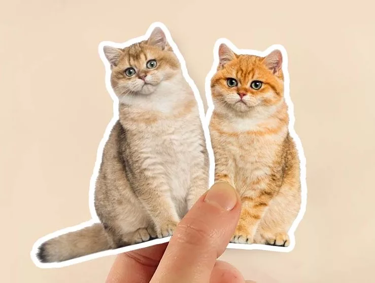 Photo stickers of your pets