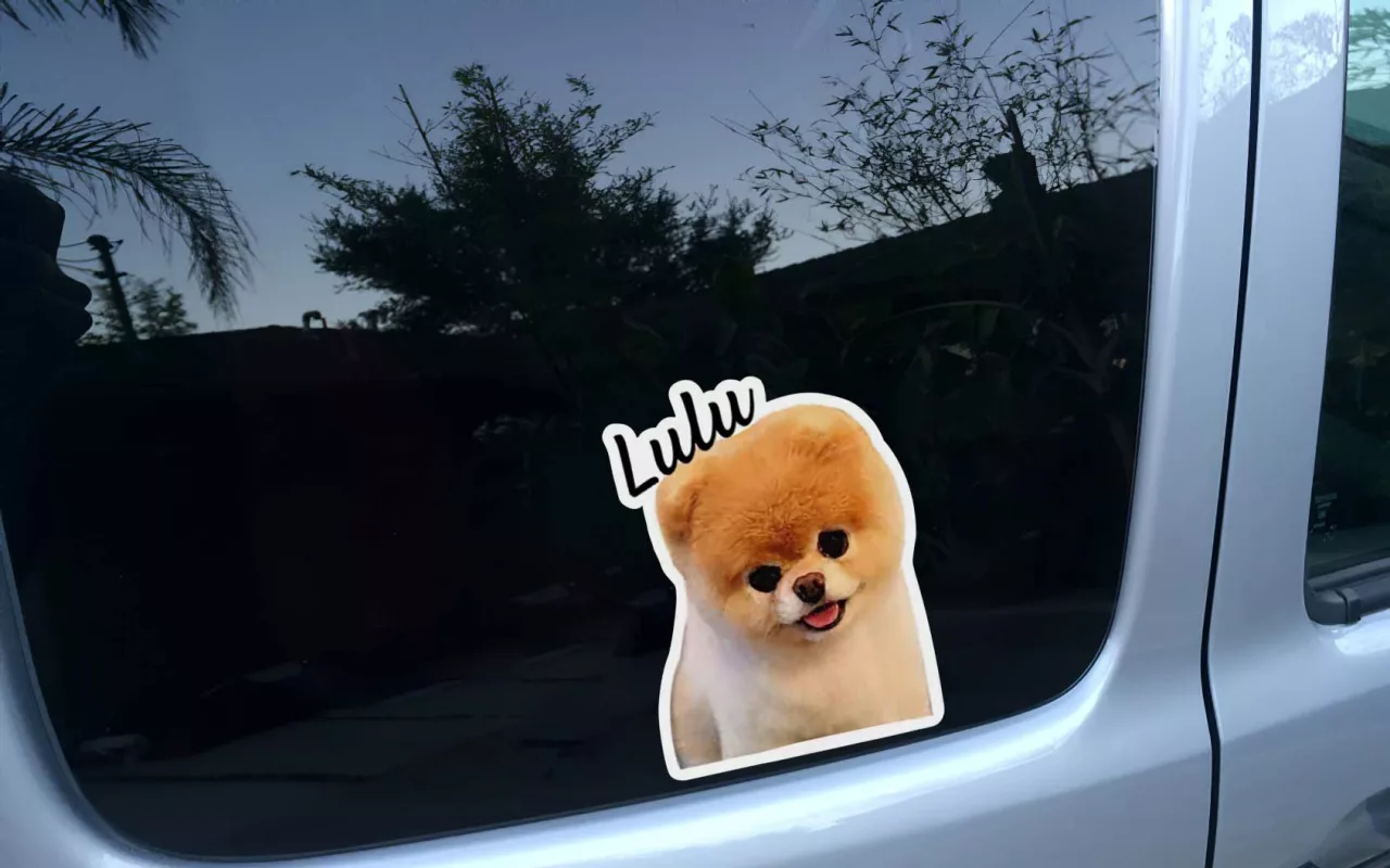 Dog photo stickers can be placed ton cars
