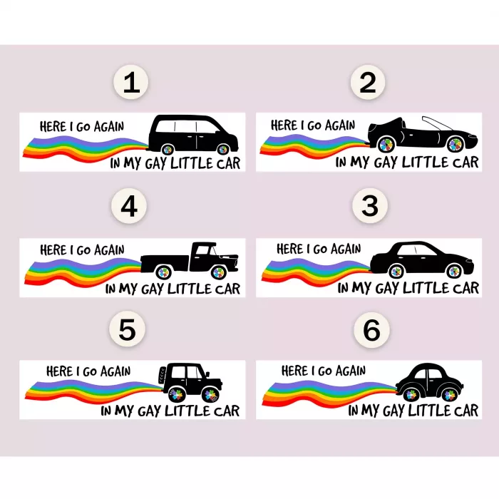 Here I Go Again in My Gay Little Car Funny Bumper Stickers 7