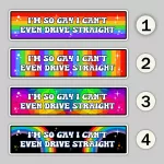 I'm So Gay I Can't Even Drive Straight Funny Bumper Sticker 6