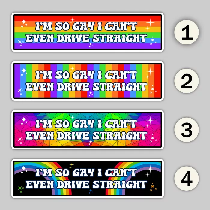 I'm So Gay I Can't Even Drive Straight Funny Bumper Sticker 6