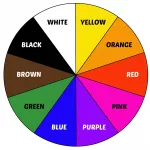 Your color choices