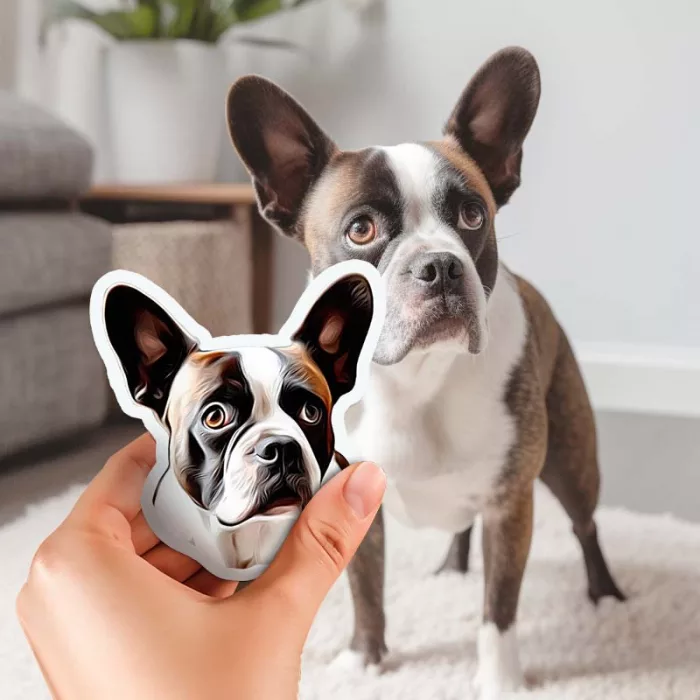 Highly Realistic Custom Pet Photo Stickers 2