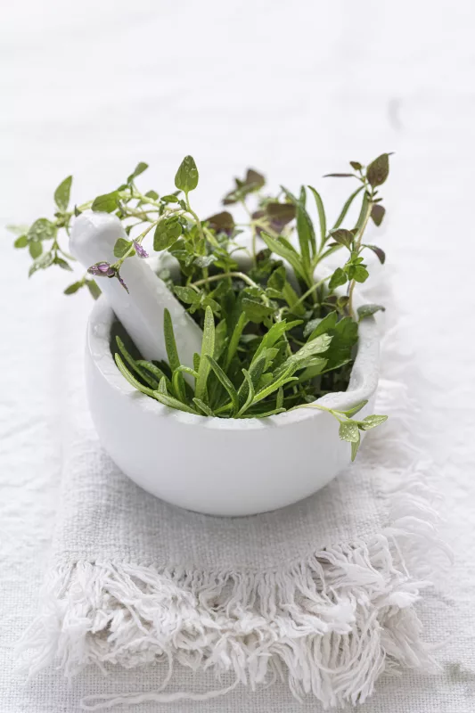 Mini potted herbs