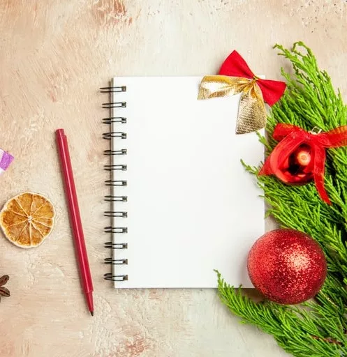 Journal and pen for Christmas care package