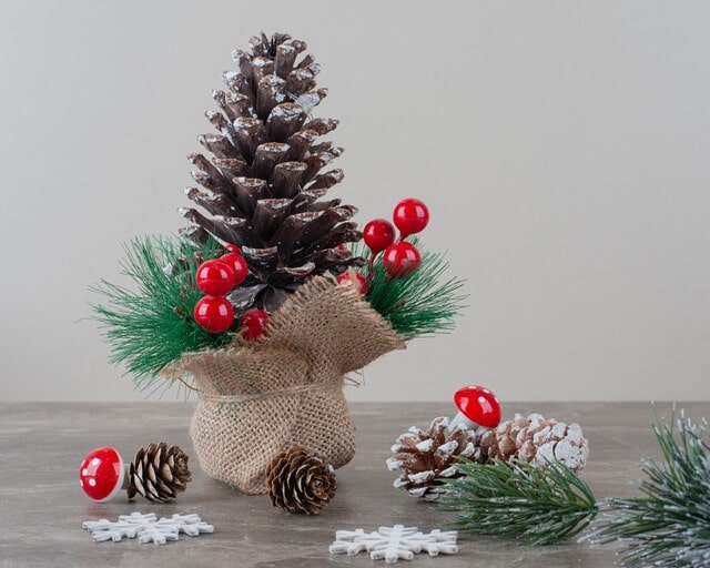 Tiny Christmas Tree for store decor