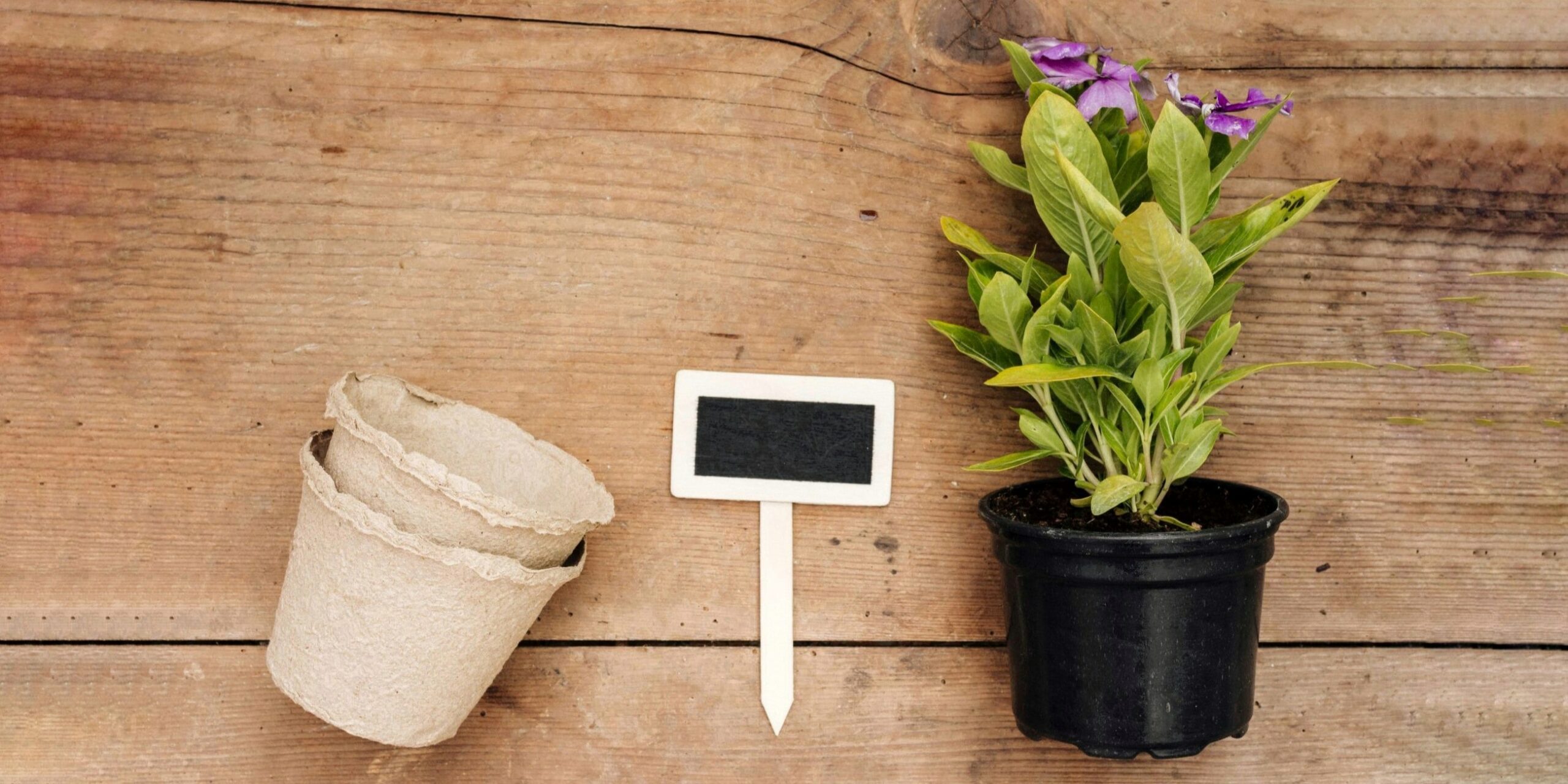 6 Lovely DIY Plant Markers for Small Gardens