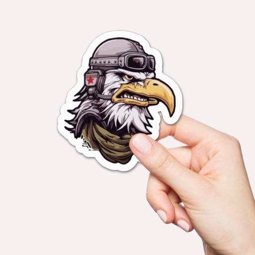 Eagles with helmet stickers