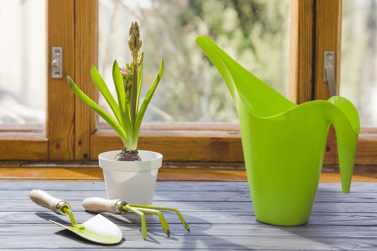 How about drinking from plastic watering cans in colorful colors