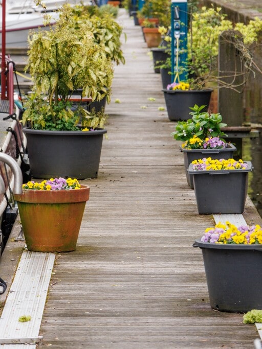 Potted Plant Pathway for a garden party