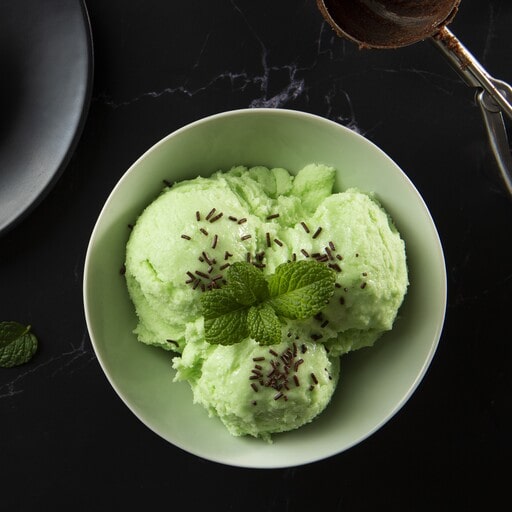 Mint Chocolate Chip Ice Cream