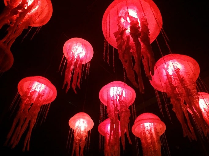 Jellyfish Hanging Lanterns