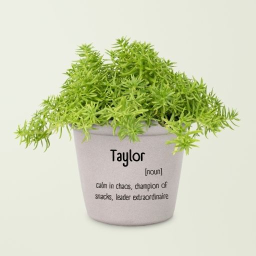 Boss’s Day Gift Ideas That Aren’t Mugs: 5 Fresh, Personalized & Actually Good Picks 5 Mini Plant with Personalized Pot for boss