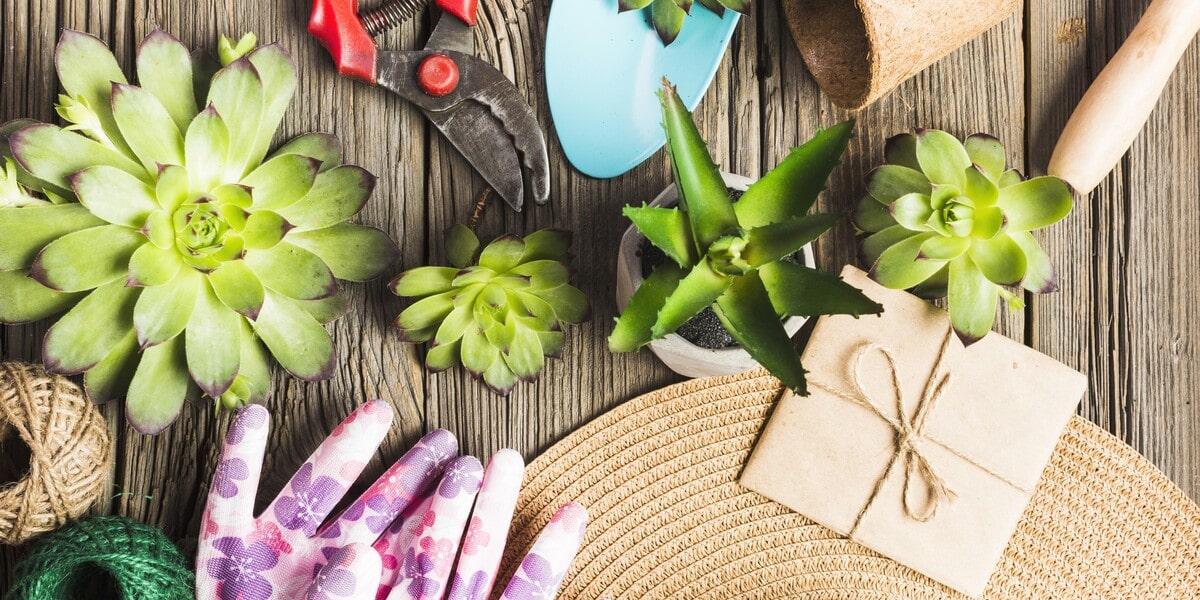 25 Best Gardening Gift Ideas for the Green Thumb in Your Life