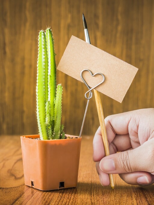 Top 14 Ideas: Unexpected Gift for Someone Who Has Everything 2 Adopt a Plant gift