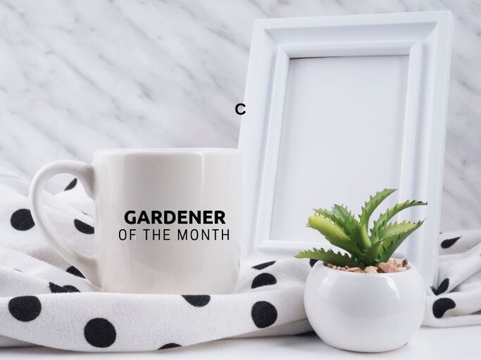 Personalized ceramic mug with waterproof UV DTF transfer stickers
