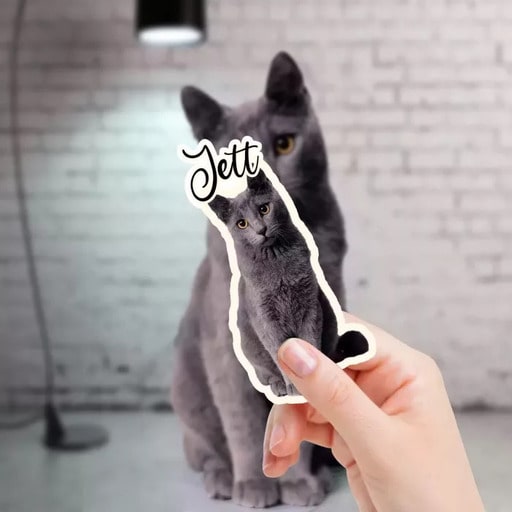 Gift for Someone Who Lost a Pet: 19 Comfort & Memory Ideas 5 Pet Photo Stickers-with Custom Name from CustomAny