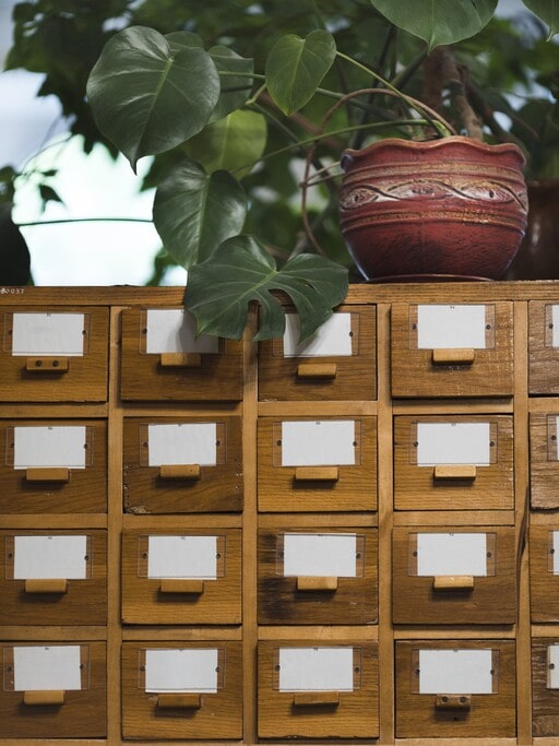 Seed organizer box